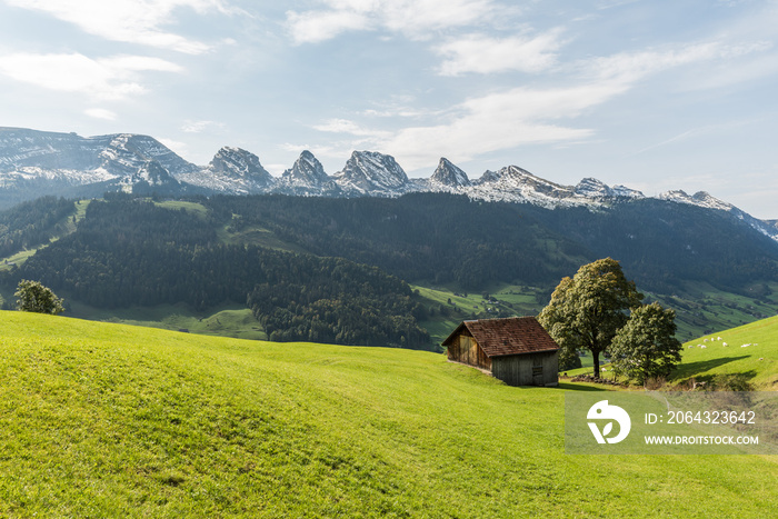 托根堡的Landschaft mit Blick auf die Churfirsten，Kanton St.Gallen，Schweiz