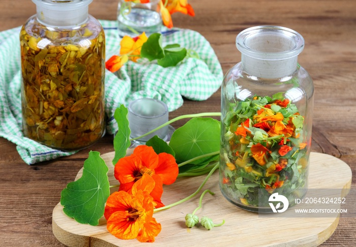 Making tincture from Tropaeolum majus, also called garden nasturtium or Indian cress. The whole plan