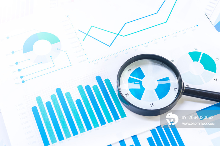 Magnifying with Business Graphs finance document.