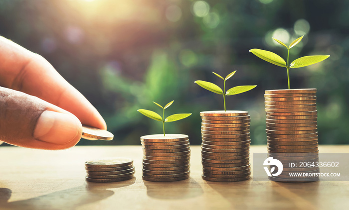 hand putting coins on stack with plant growing on money . finance and accounting concept