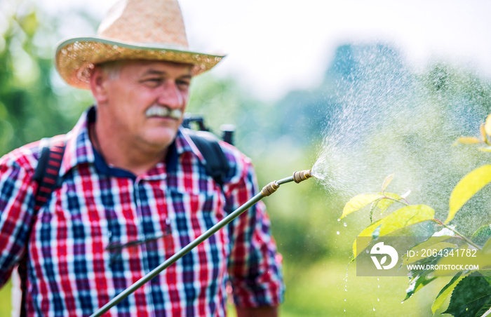 Orcharding. Farmer spraying plants with pesticide from pump sprayer. Agricultural concept