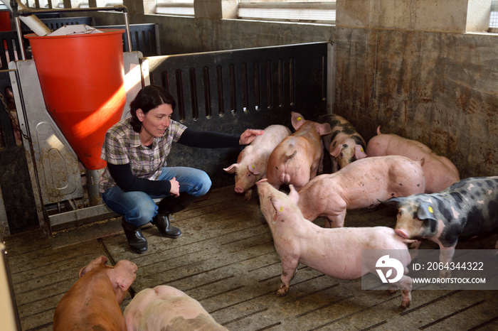 养猪场上的农场妇女画像