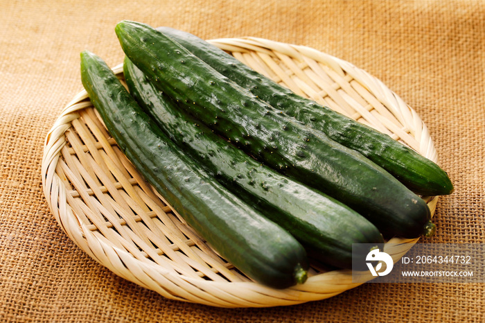 きゅうり　Japanese cucumber