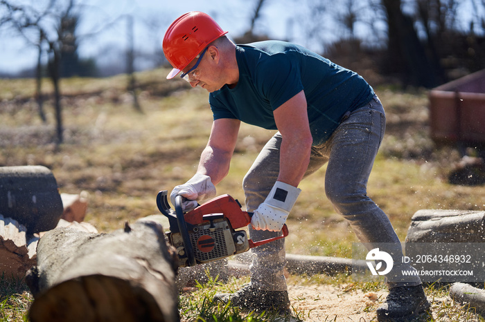 Lumberjack with chainsaw working