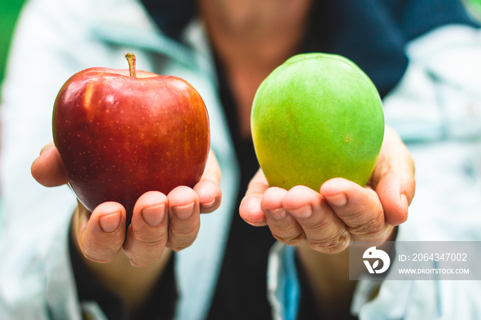 Senior woman holding a red and green apple in each hand – Giving healthy and delicious snacks - Alte