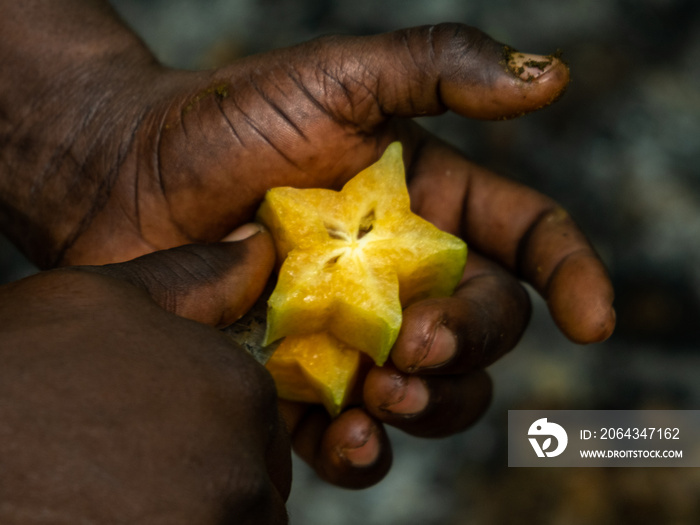 Black man cutting a slice of starfruit on Zanzibar spice farm