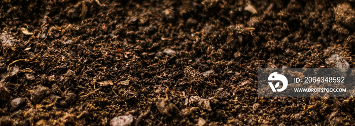 Earth ground texture as background, nature and environment