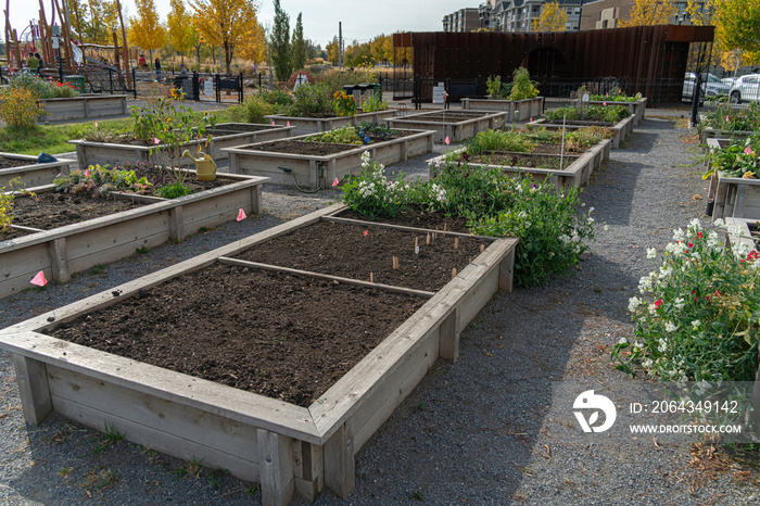 Community garden plots in downtown calgary for growing plants and food