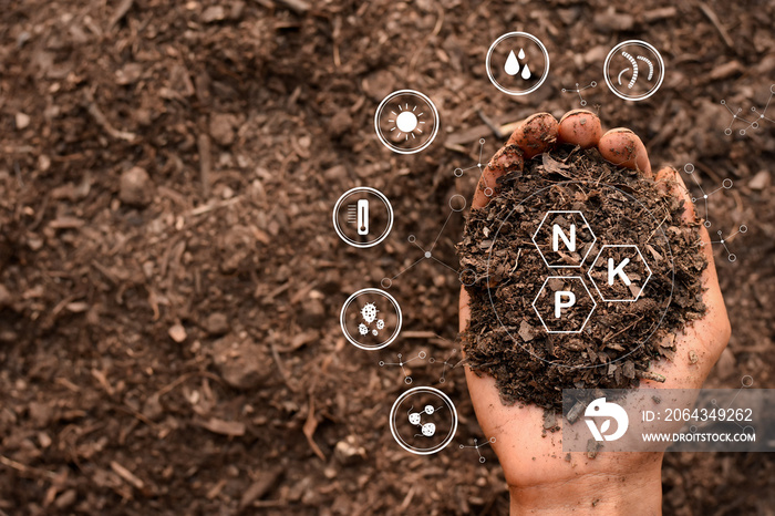 人类的双手掌握着富含种植植物和生趾所需所有元素的土壤