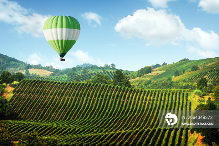 Amazing rural landscape with green balloon under vineyard on Italy hills. Vine making background