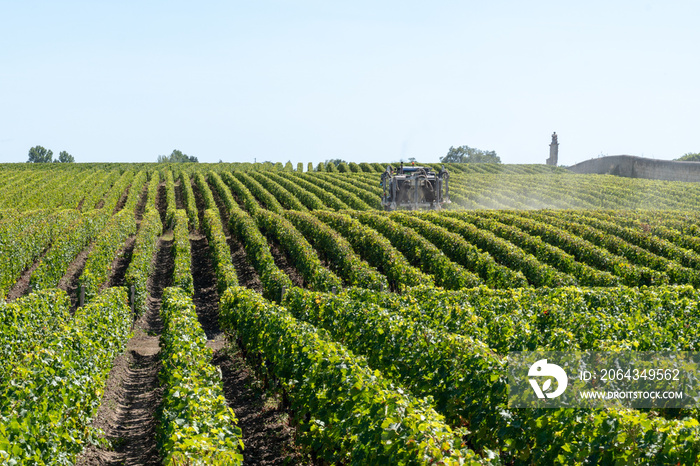 法国波尔多附近的玛歌梅多克葡萄园景观拖拉机喷洒葡萄藤