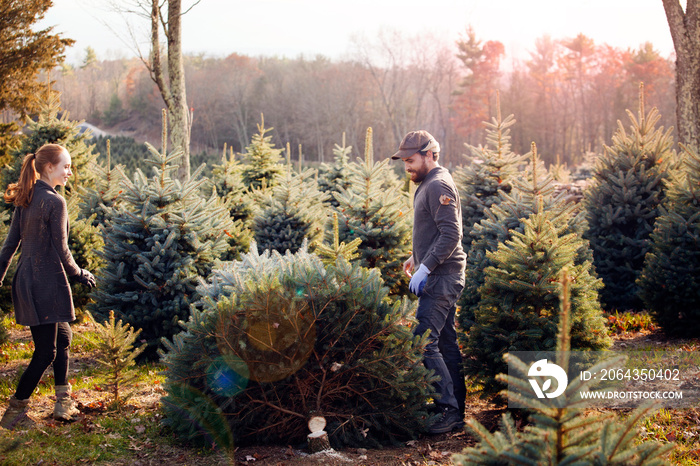 Couple standing near spruce tree