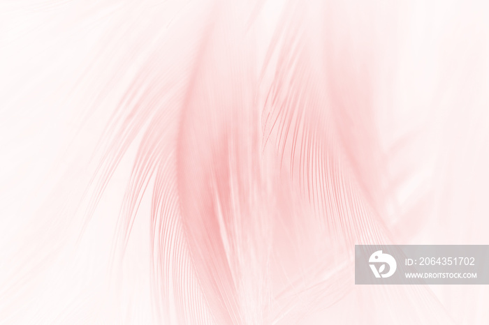 pink feather pattern texture background