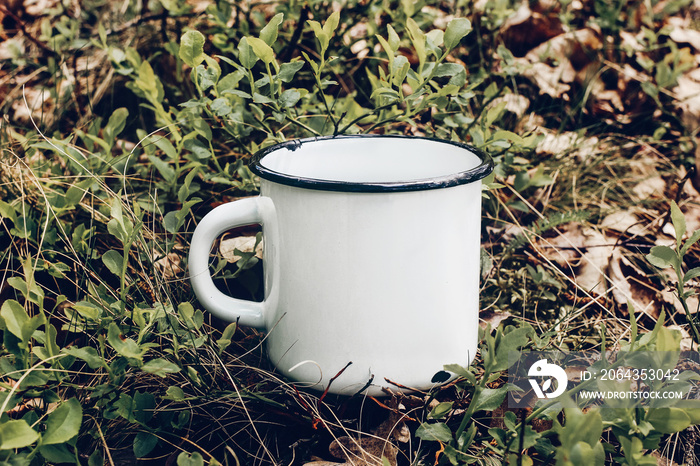 Close up of metal mug on forest ground among blueberry shrubs and oak leaves. Outdoor tea, coffee ti