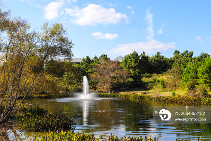 公园里有一个喷泉，周围是郁郁葱葱的绿色和秋天的co，这是一张令人惊叹的湖泊照片