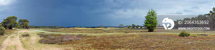 Hikers in Hoge Veluwe National Park, Netherlands, with approaching thunderstorm