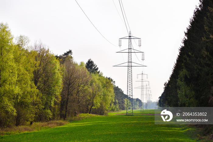 Power Lines Cutting Through Forest