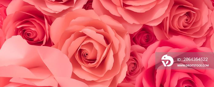 close up top view of pink petal flowers panoramic background for valentines day 14 february , mothe