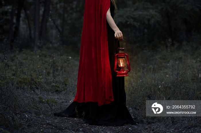 cropped view of mystic girl with kerosene lamp walking in dark forest