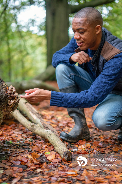 Man reaching to mushroom growing on log in forest?