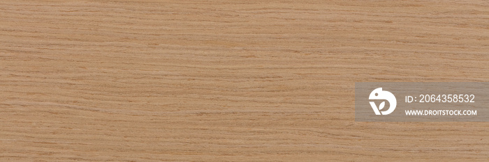 Natural oak veneer background in perfect beige color. Natural wood texture, pattern of a long veneer