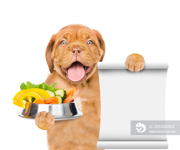 Happy puppy holds bowl of vegetables and empty list. isolated on white background