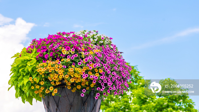 Bottich mit bunten Zauberglöckchen und Petunien, Gartengestaltung