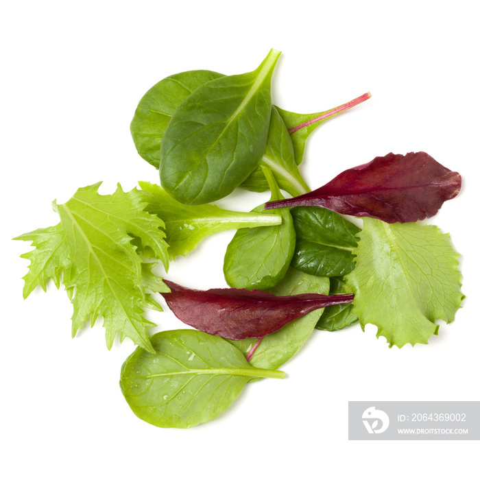 Different salad leaves handful isolated over white background. Top view, flat lay..