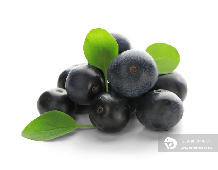 Fresh acai berries, isolated on white