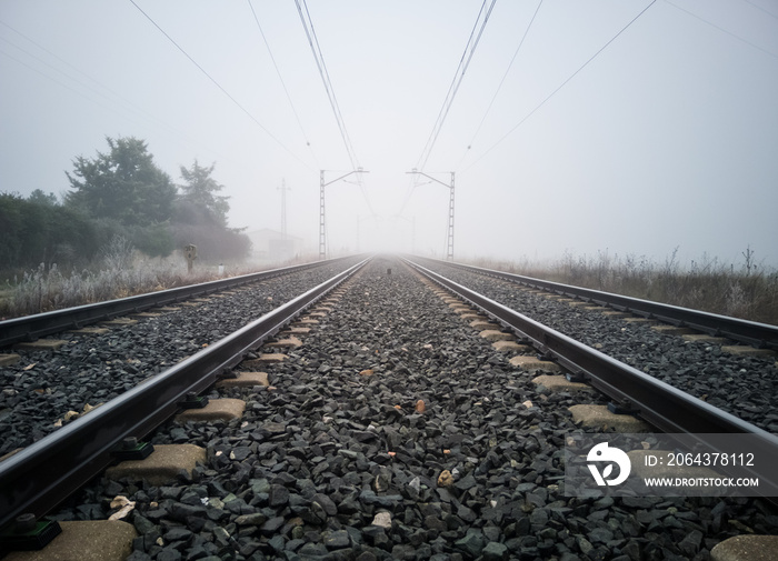 Train tracks and catenary posts disappear into thick fog in the country