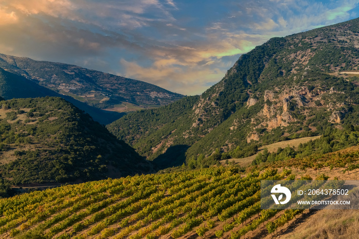 Rich vineyards of the inner valleys of the Peloponnese Pensinsula in Southern mainland Greece