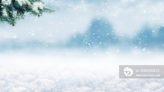 Winter background, panorama with a spruce branch on a background of snow-covered fields and trees in