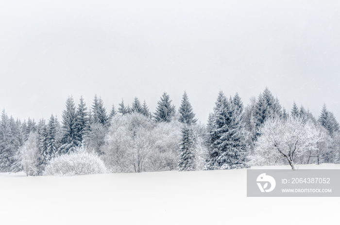 Schnee im Erzgebirge bei Altenberg