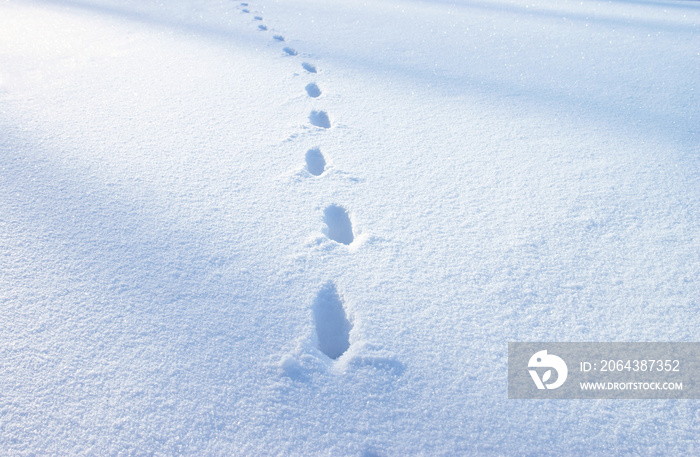 蓝雪中的足迹