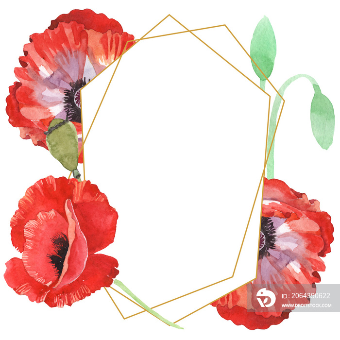红色罂粟花植物花卉。水彩背景插图套装。框架边框装饰平方米