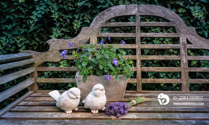 Garden decorations with Streptocarpus plant and decorative birds on a wooden bench.