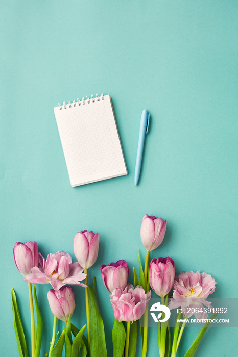 粉红色郁金香和空白蓝绿色背景上的音符和铅笔的花束