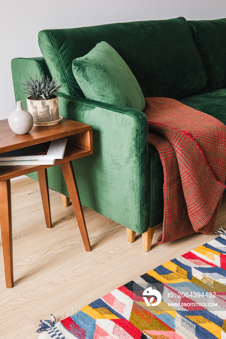 带枕头和毯子的绿色沙发，靠近带植物和彩色地毯的木制咖啡桌