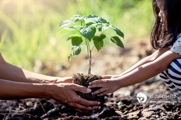 Asian little girl helping his father to plant the tree