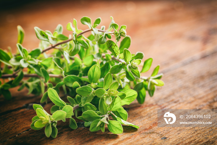 Fresh oregano twig on wooden background