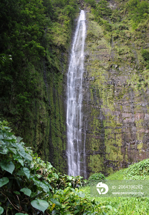Panoramic view of the Waimoku Falls at the end of Pipiwai Trail (Maui, Hawaii)