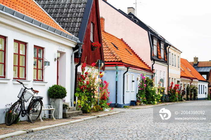 Swedish Village Alley With Doors and Plants, Ystad