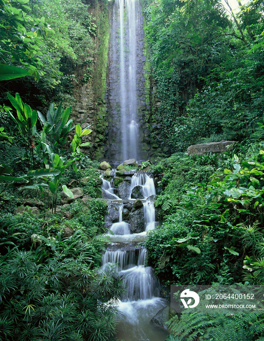 Waterfall at Jurong Bird Park in Singapore