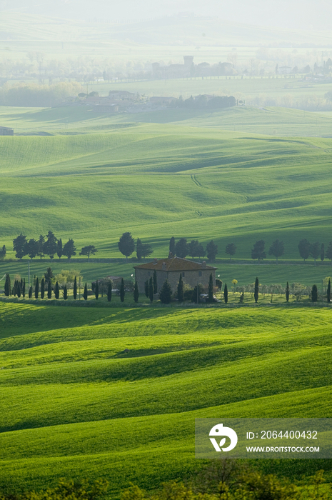 Italy, Tuscany, Val dOrcia