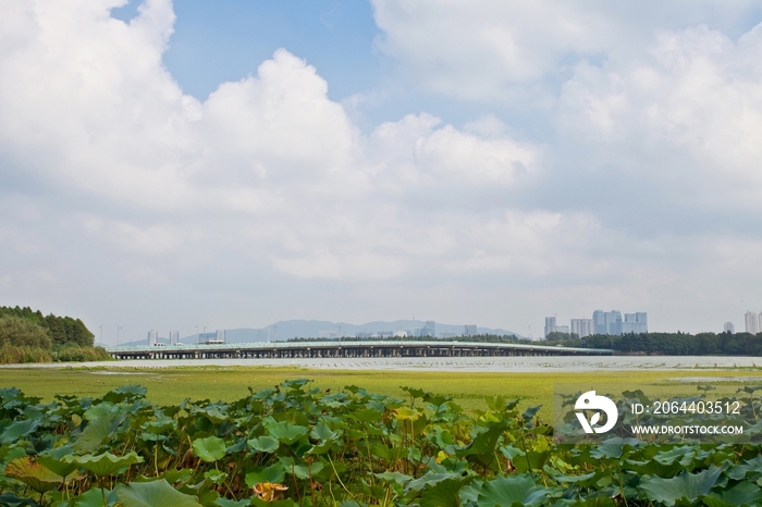 江苏省无锡太湖湖畔--蠡湖景观