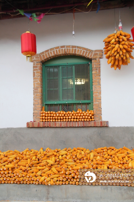 陕西省灞源农家院里的玉米