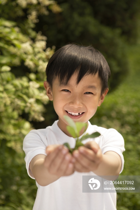 小男孩和植物