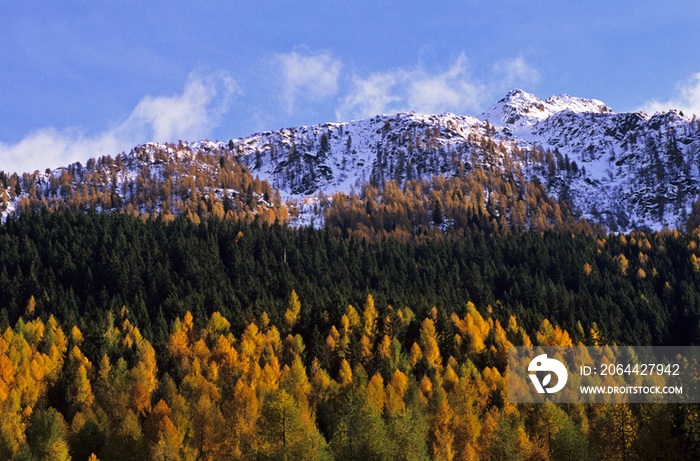 Mountain range and woods in autumn