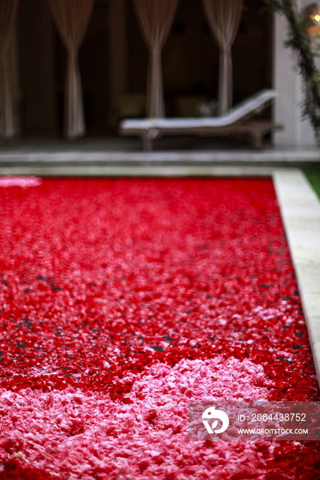 Bath with flower petal