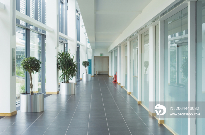 Corridor In A Modern Office